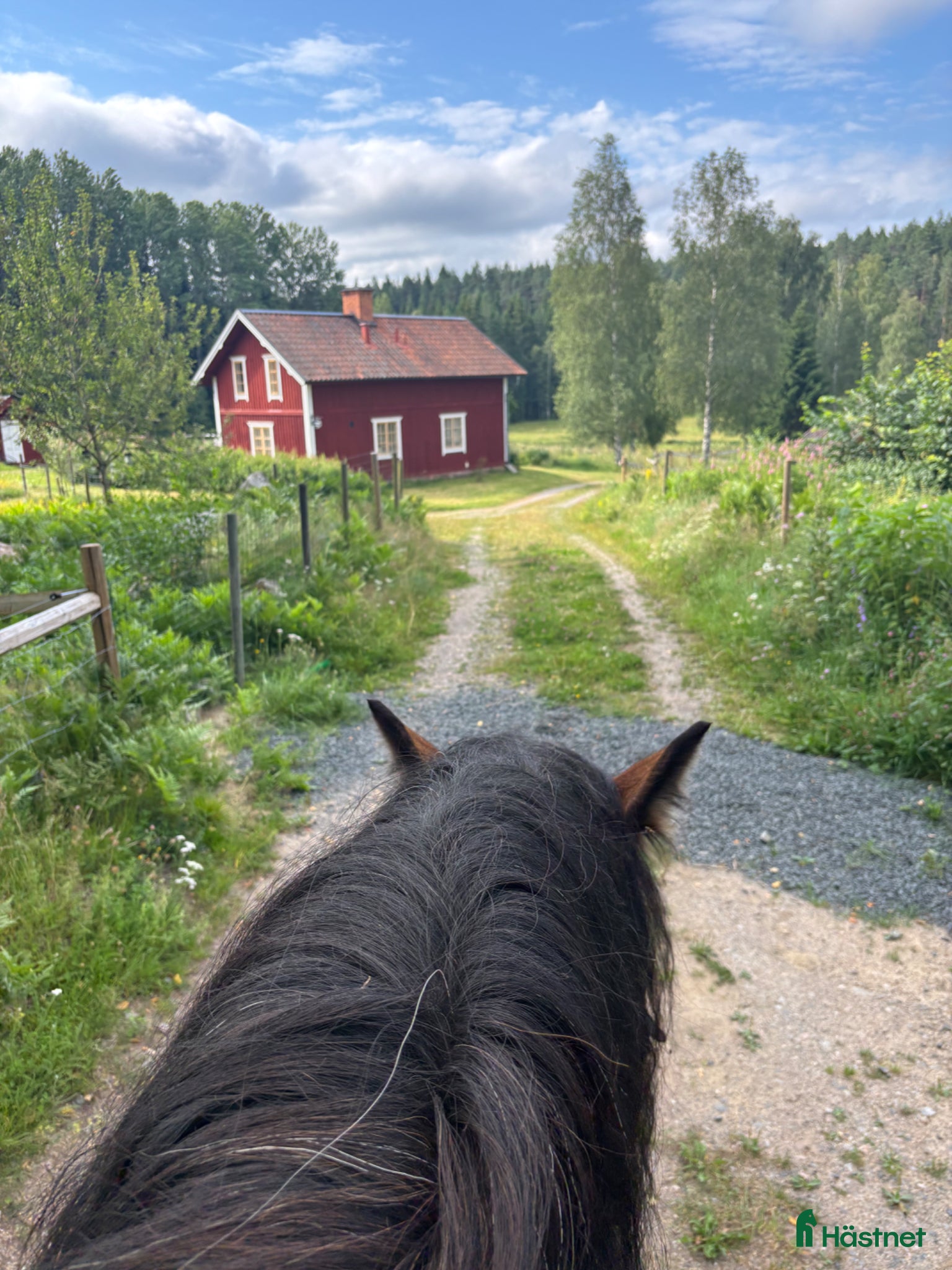  stallplats Stor & härlig lösdrift - Annons 15
