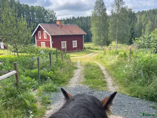 stallplats Stor & härlig lösdrift - Annons 15