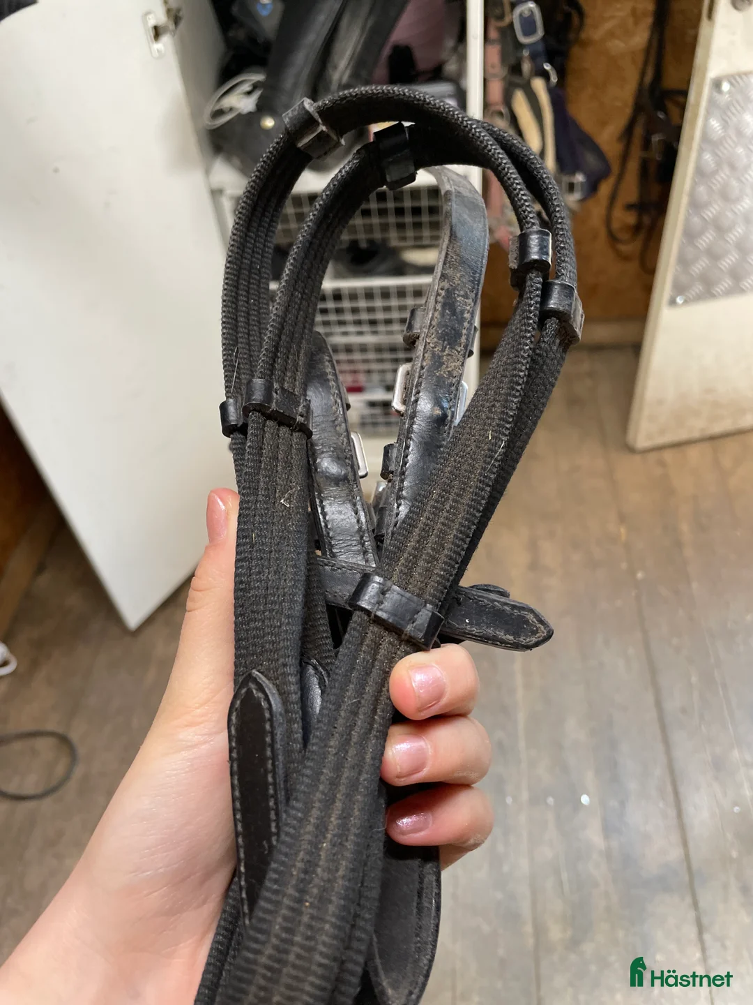 Övrig Hästutrustning hästutrustning till salu: Fina tyglar i Västerås - Annons 2