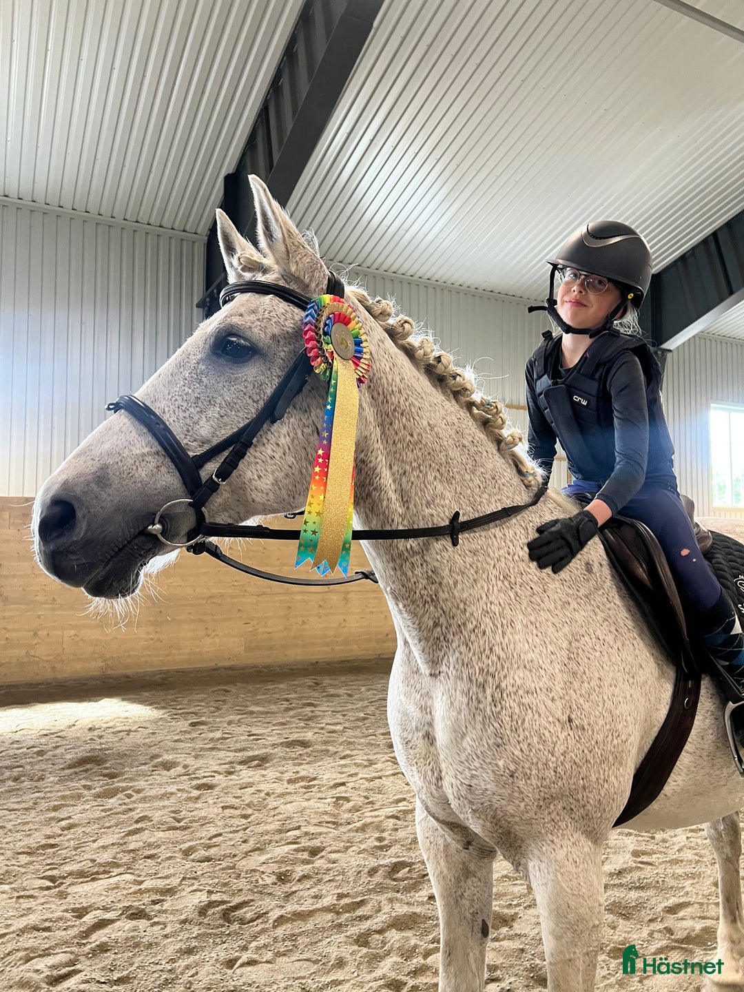 Allround hästar till salu: Vacker herre med hjärta av guld.  i Åre - Annons 2