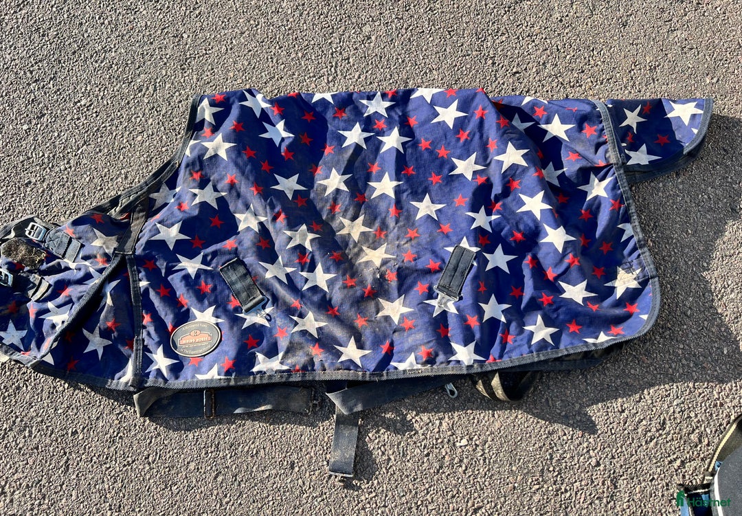 Övrig Hästutrustning hästutrustning till salu: Ponnysaker i Västerås - Annons 15