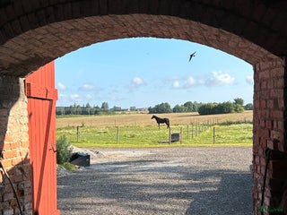 stallplats Stallplats Eslöv med service i Eslöv - Annons 23