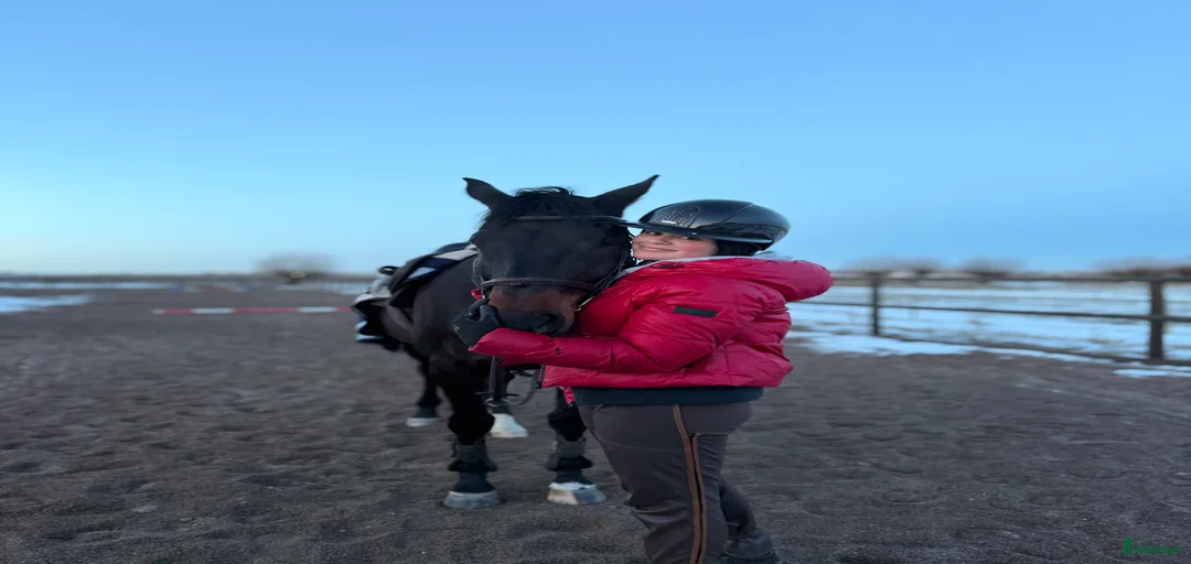 Galleribild {{count}}