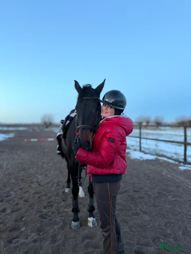 Galleribild {{count}}