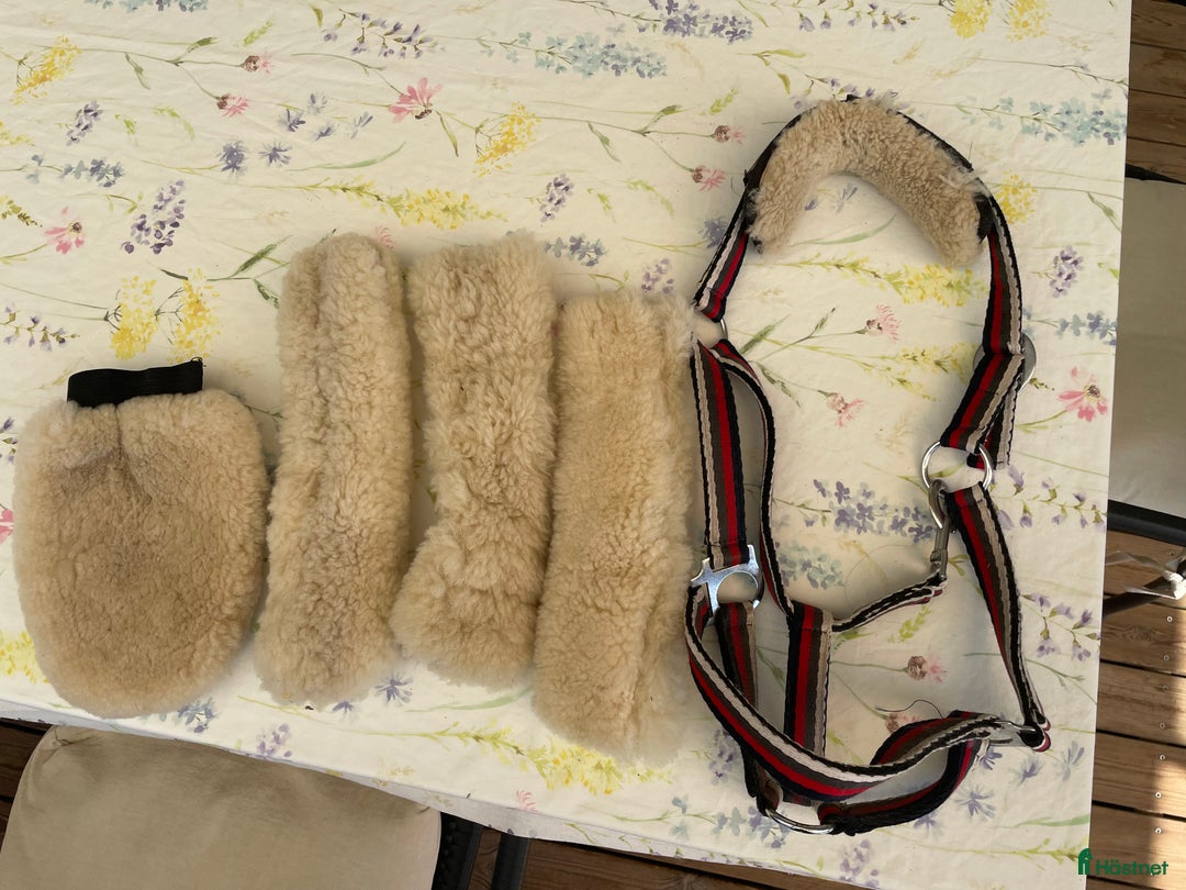 Övrig Hästutrustning hästutrustning till salu: Nosludd i Tygelsjö - Annons 1