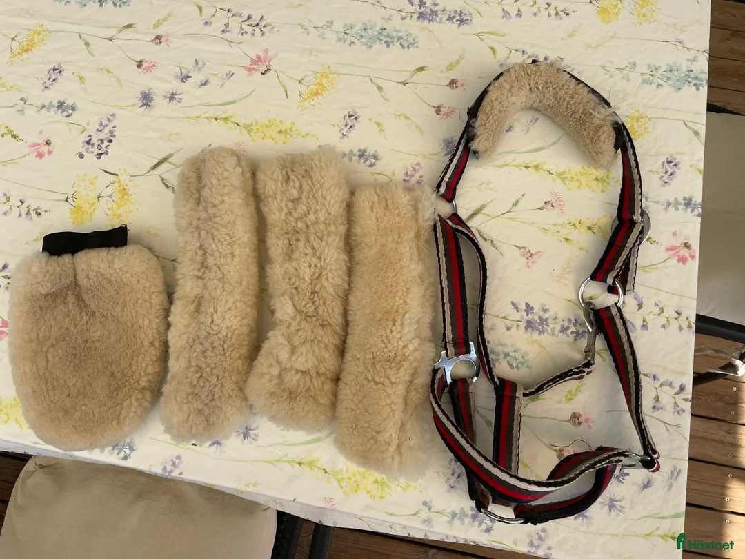 Övrig Hästutrustning hästutrustning till salu: Nosludd i Tygelsjö - Annons 1