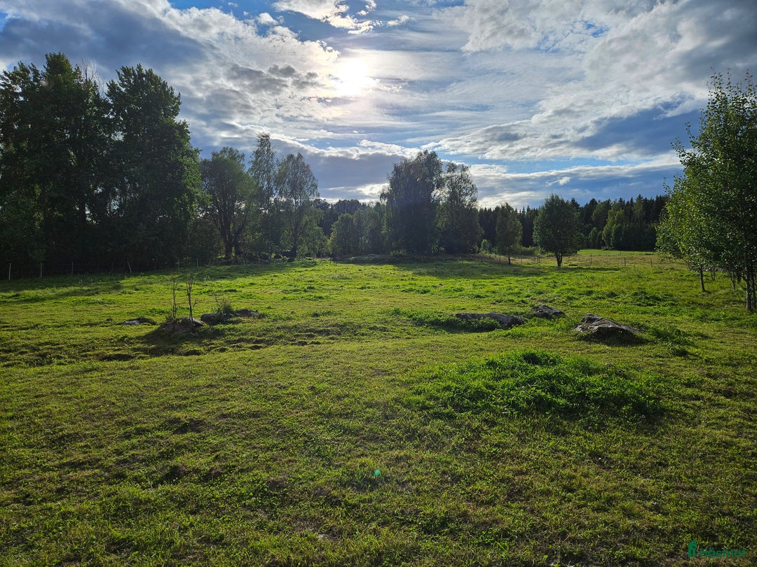 stallplats finnes: Lösdrift med egen box i Ärla - Annons 6
