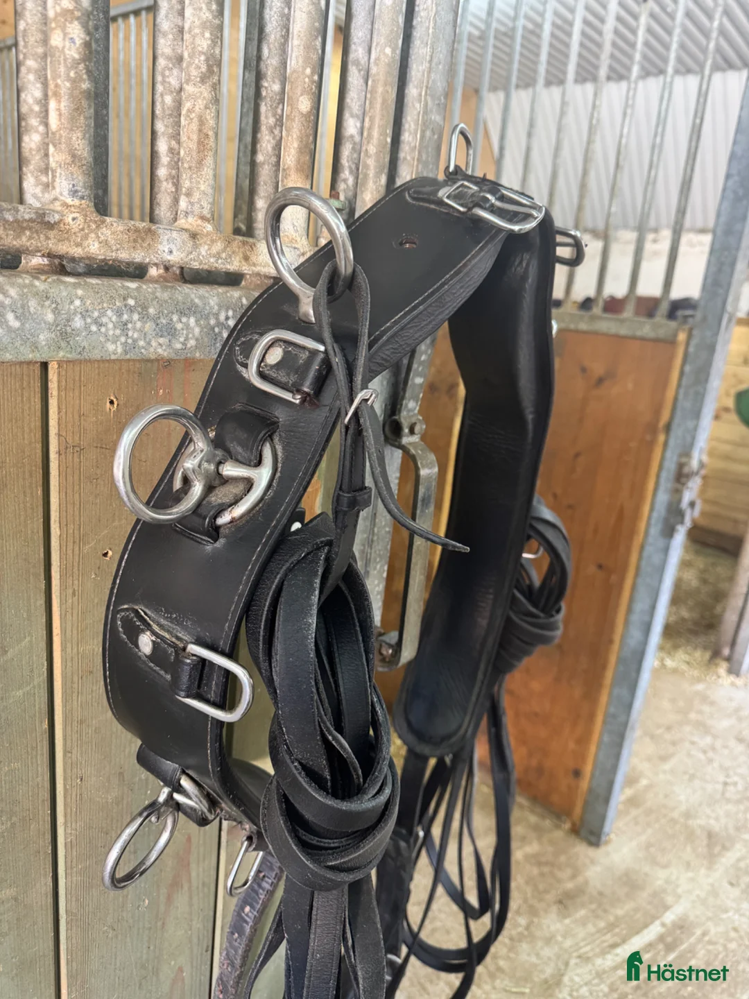 Övrig Hästutrustning hästutrustning till salu: Tömkörningsgjord med tömmar - Annons 2