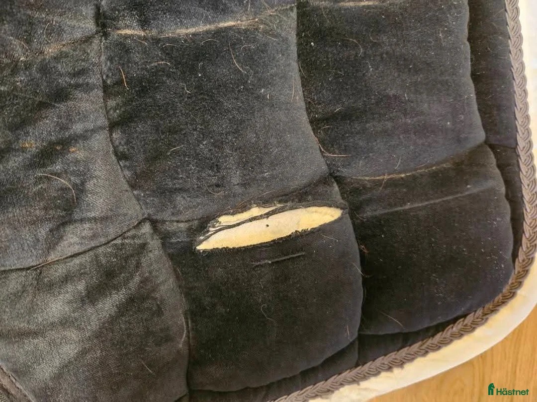 Schabrak & Vojlockar hästutrustning till salu: Utrensning märkesschabrak i Bandhagen - Annons 4