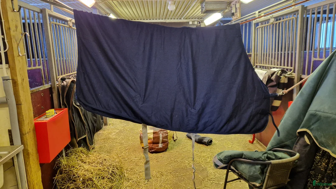 Täcken hästutrustning till salu: Fleecetäcke från Horze med glitter - Annons 2