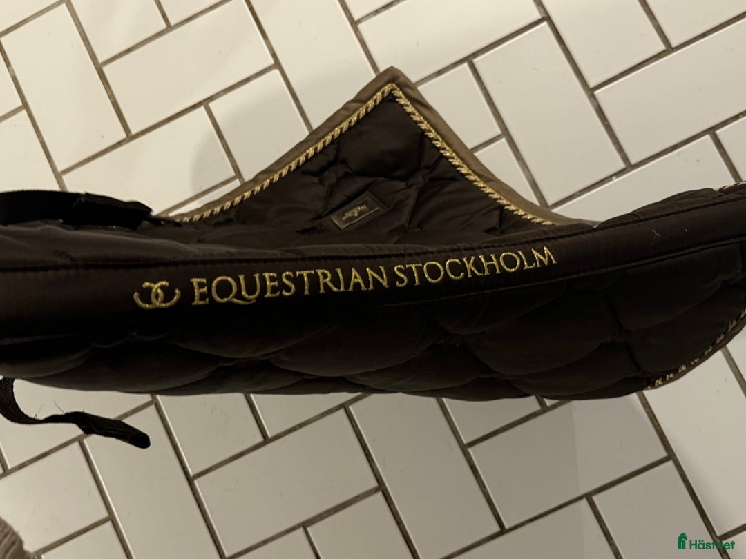 Schabrak & Vojlockar hästutrustning till salu: Equestrian Stockholm mörkbrunt dressyrschabrak! i Bromma - Annons 5