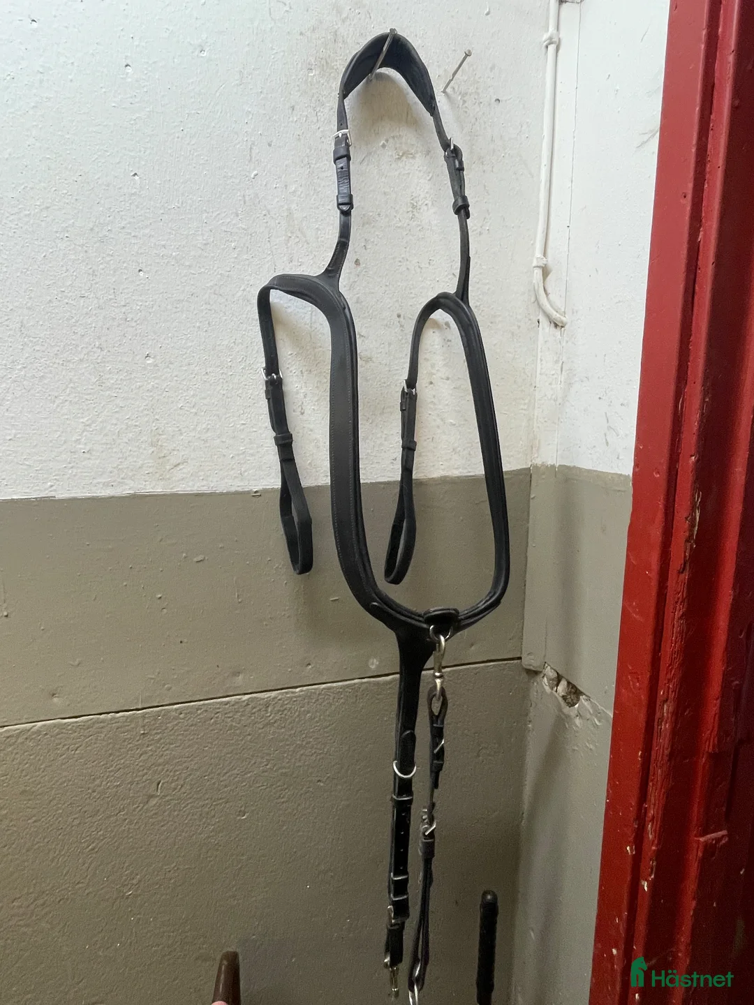 Övrig Hästutrustning hästutrustning till salu: Förbygel - Annons 1