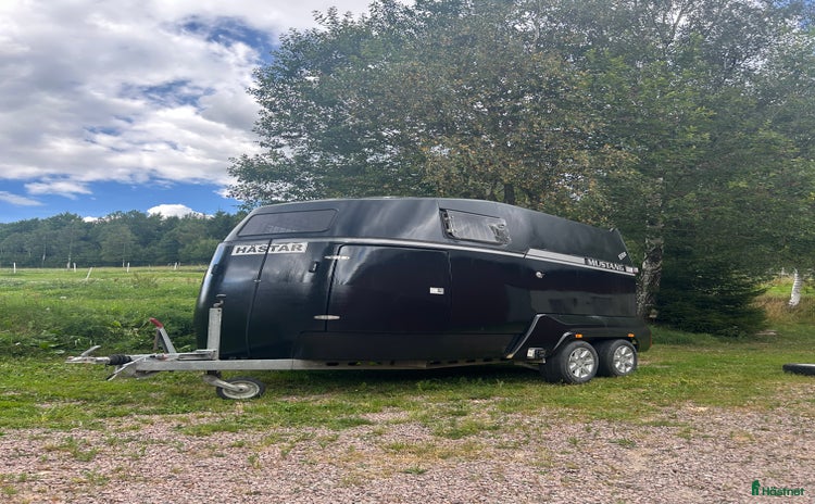 Hästtransporter  fordon & transport till salu i Skövde - Annons 7