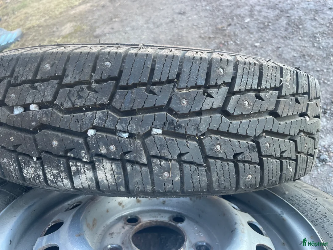 Hästtransporter  fordon & transport till salu: Transport till salu - Östergötland  - Annons 8