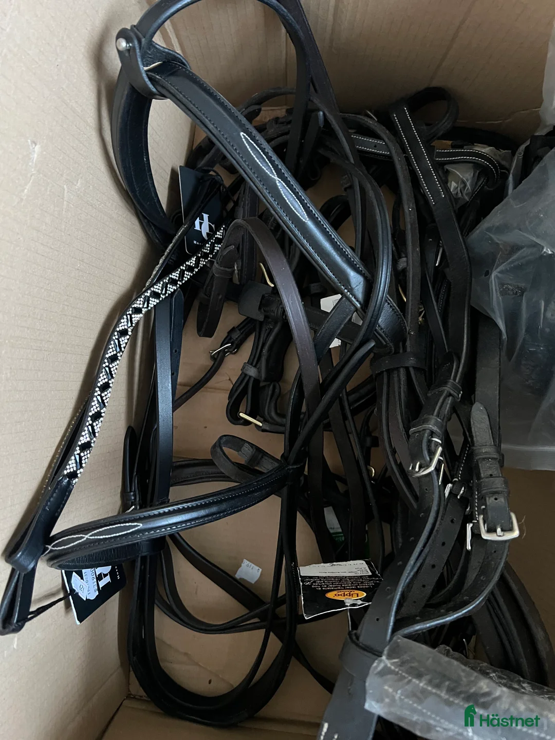 Övrig Hästutrustning hästutrustning till salu: Stort varuparti på över 600 artiklar  - Annons 9