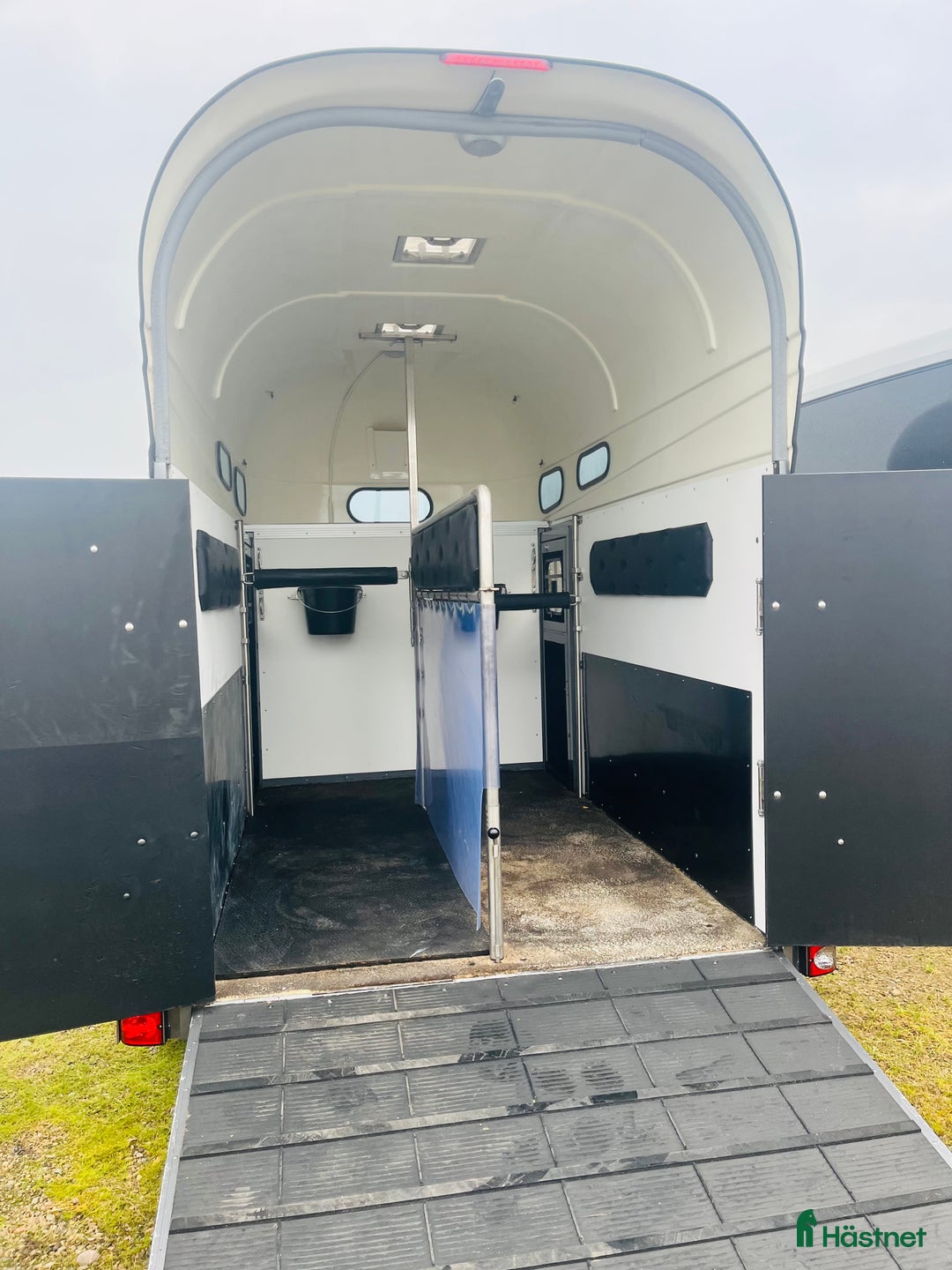 Hästtransporter  fordon & transport till salu: Forzab Classic 226SEH i Klippan - Annons 8