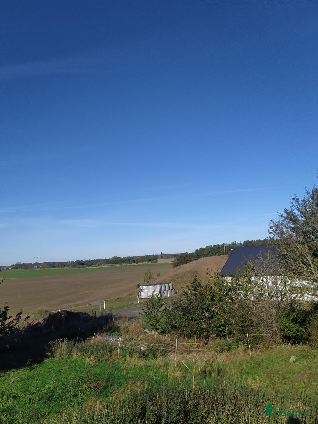  stallplats finnes: Hästboxar att hyra på en fantastisk tomt.  i Tomelilla - Annons 7