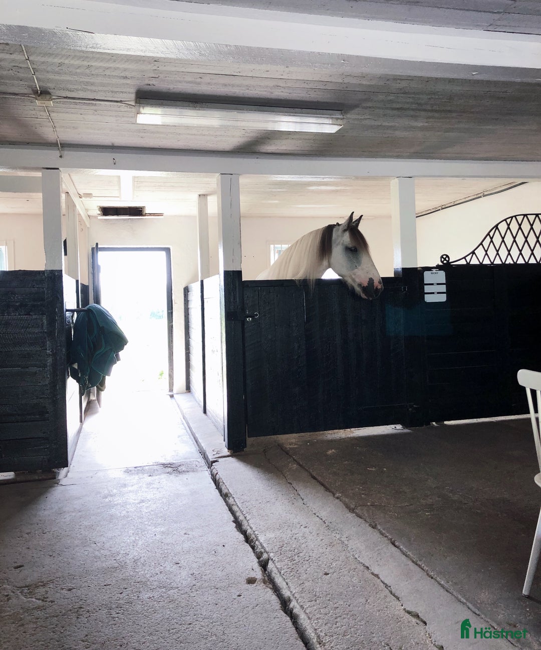  stallplats finnes: 3 boxplatser finnes i mysigt stall  i Riala - Annons 3