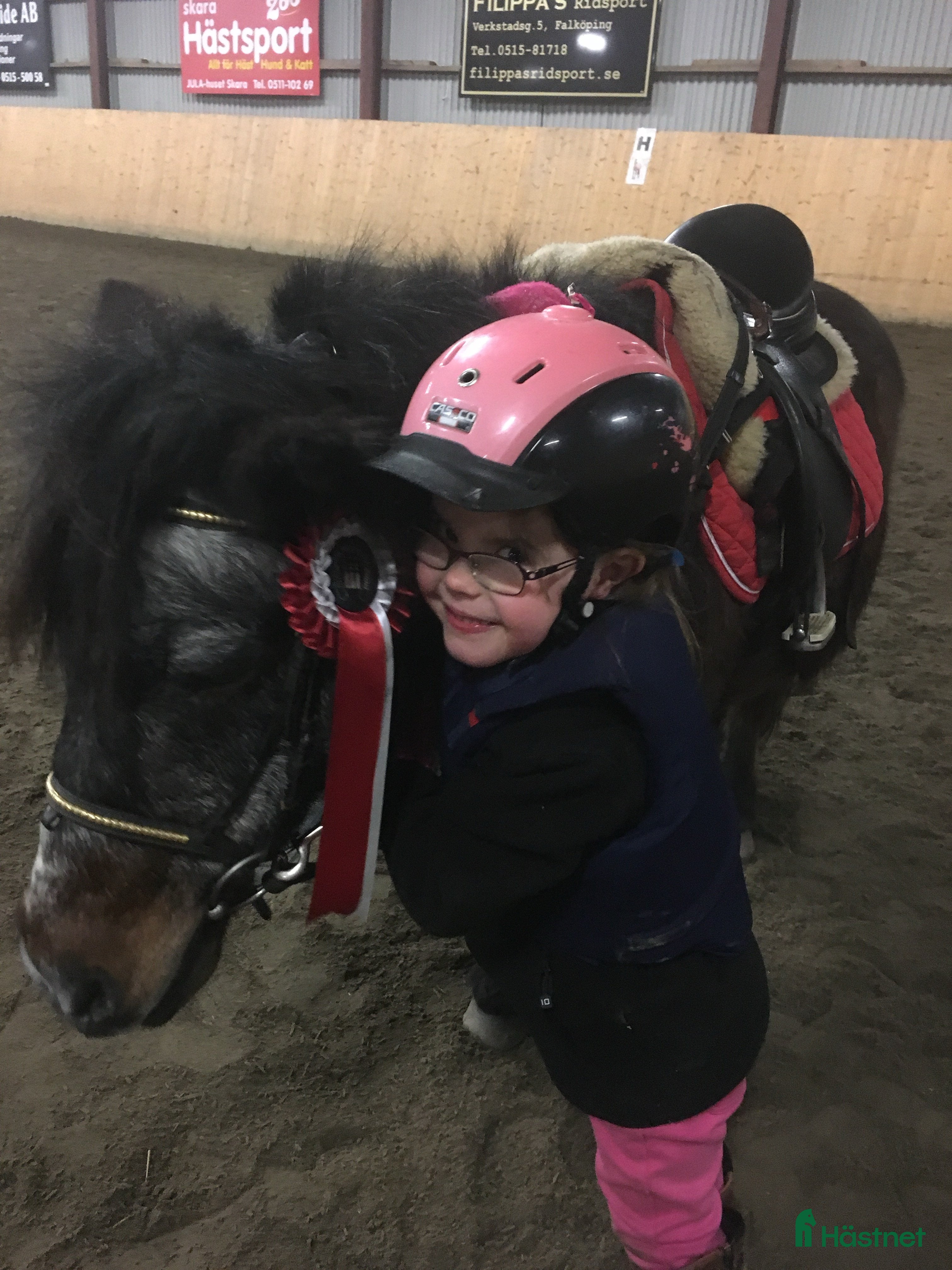  medryttarhäst sökes: Söker medryttarhäst  - Annons 2