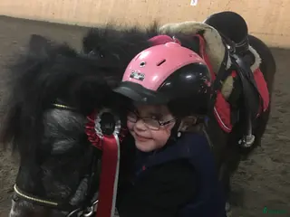 medryttarhäst sökes: Söker medryttarhäst - Annons 14