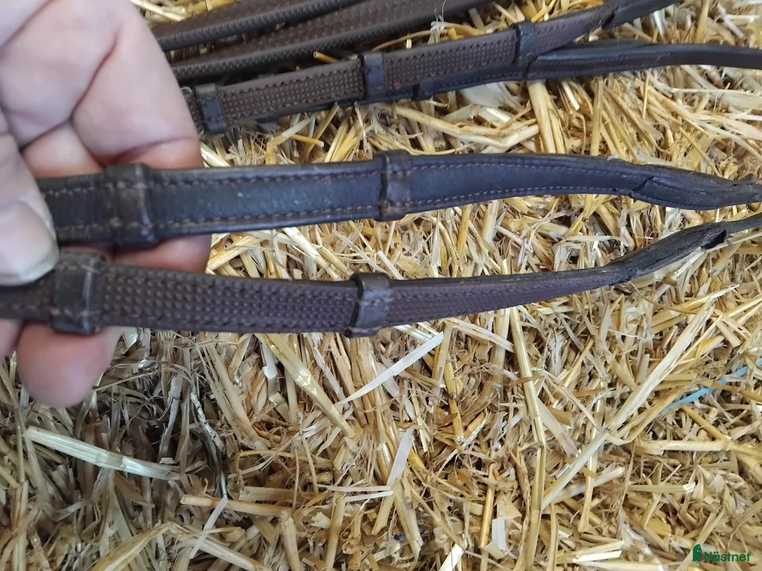 Övrig Hästutrustning hästutrustning till salu: Blandat i Löddeköpinge - Annons 19