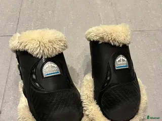 Benskydd hästutrustning Fina Veredus bakskydd - Annons 1