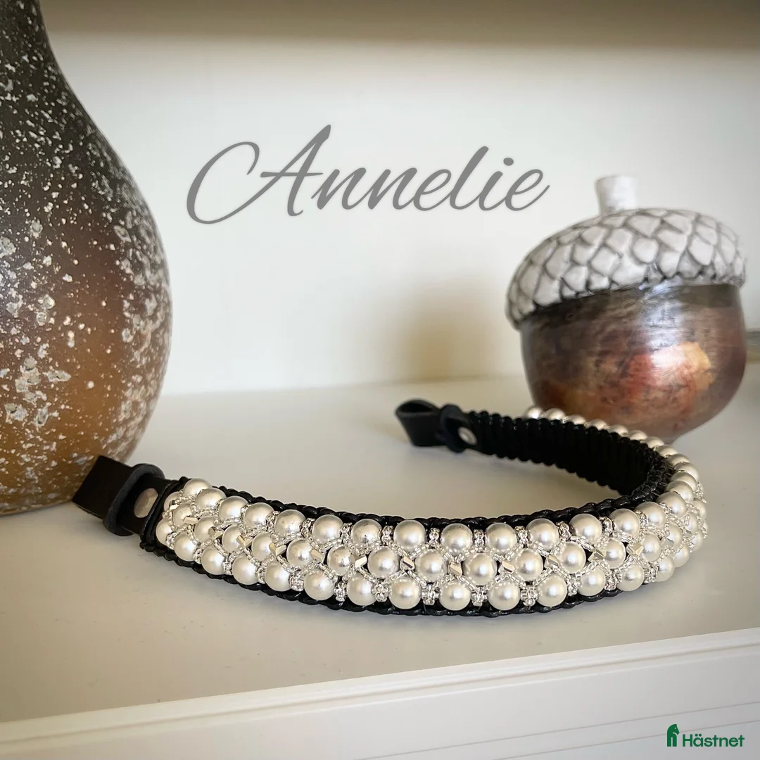 Träns hästutrustning till salu: Nytt unikt handgjort pannband - Annons 2