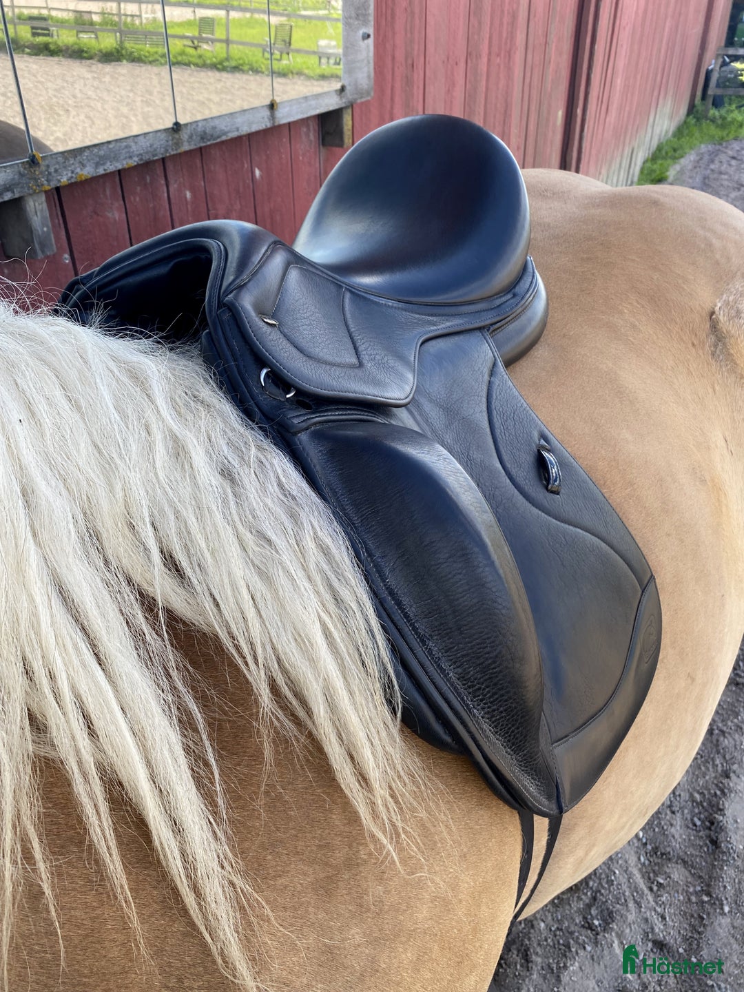 Sadlar hästutrustning till salu: Epona dressyrsadel (Ikonic) 17,5 i Alunda - Bild 6