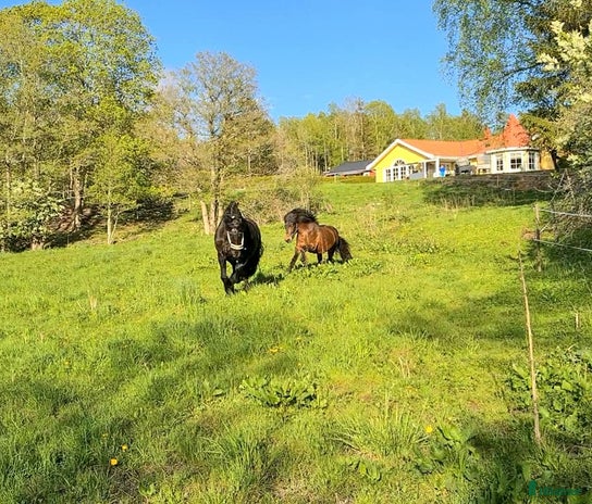 stallplats i Tungelsta - Annons 9