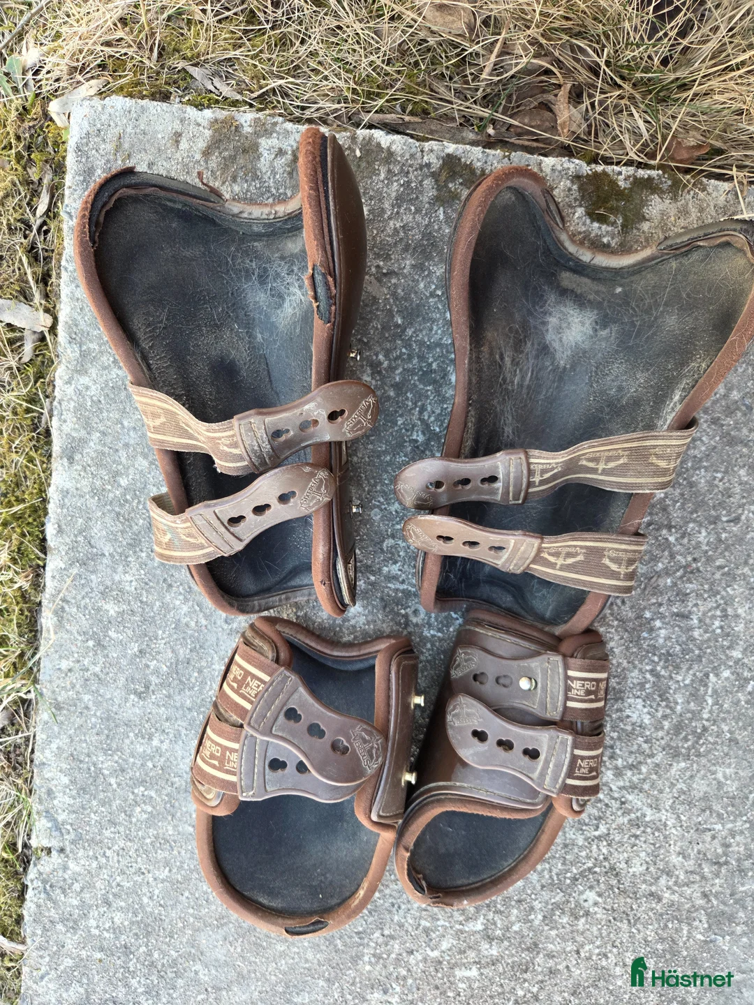 Benskydd hästutrustning till salu: Veredus Carbon gel - Annons 2