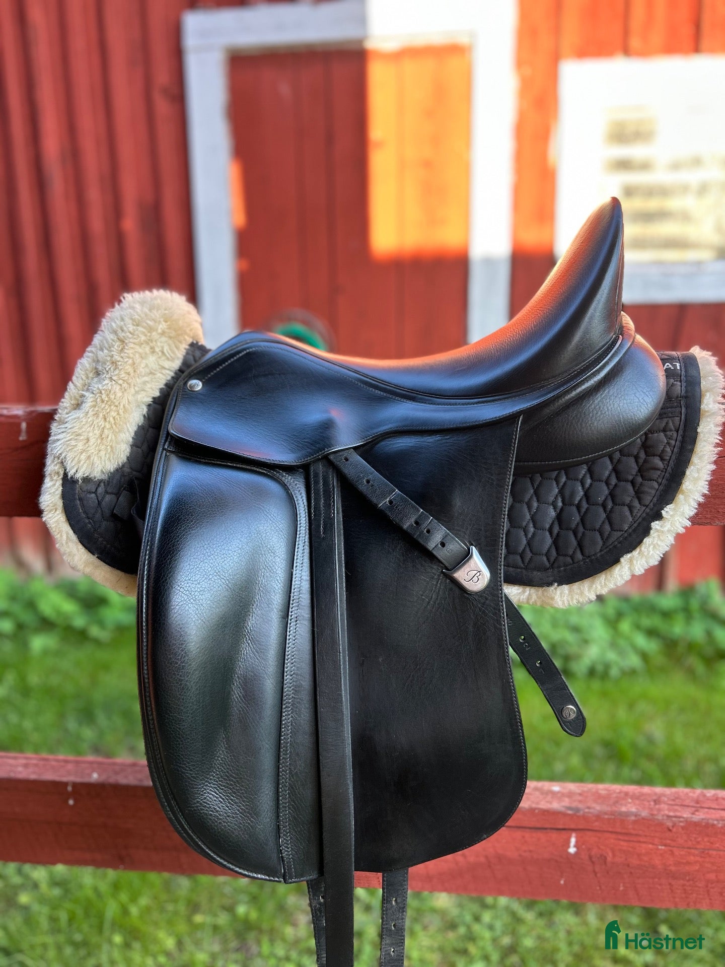 Sadlar hästutrustning Bates dressyrsadel  - Annons 6
