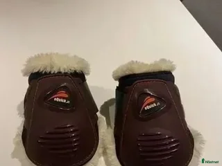 Benskydd hästutrustning till salu: Helt nya Equick i Hörby - Annons 1