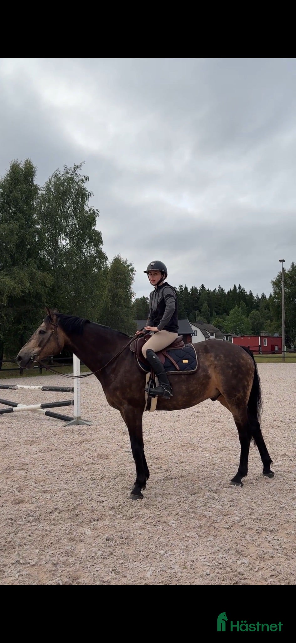  hästar Maxad D ponny Reserverad - Annons 6