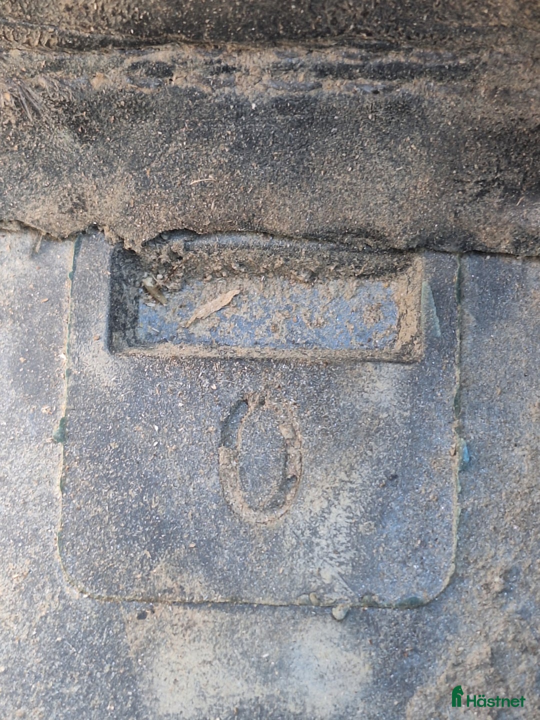 Övrig Hästutrustning hästutrustning till salu: Cavallo delta hoofboots strl 0  i Torslanda - Annons 4