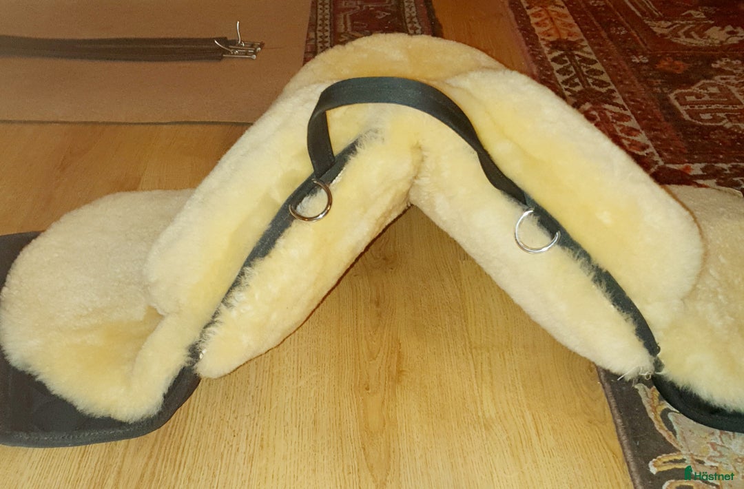 Övrig Hästutrustning hästutrustning till salu: Lyxig barbackapadd i Trollhättan - Annons 3