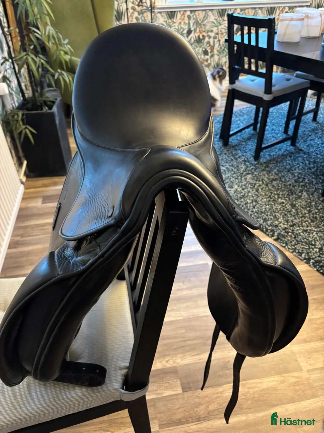 Sadlar hästutrustning till salu: Santa Cruz Arthur deleuxe ställbar bom i Asarum - Annons 2