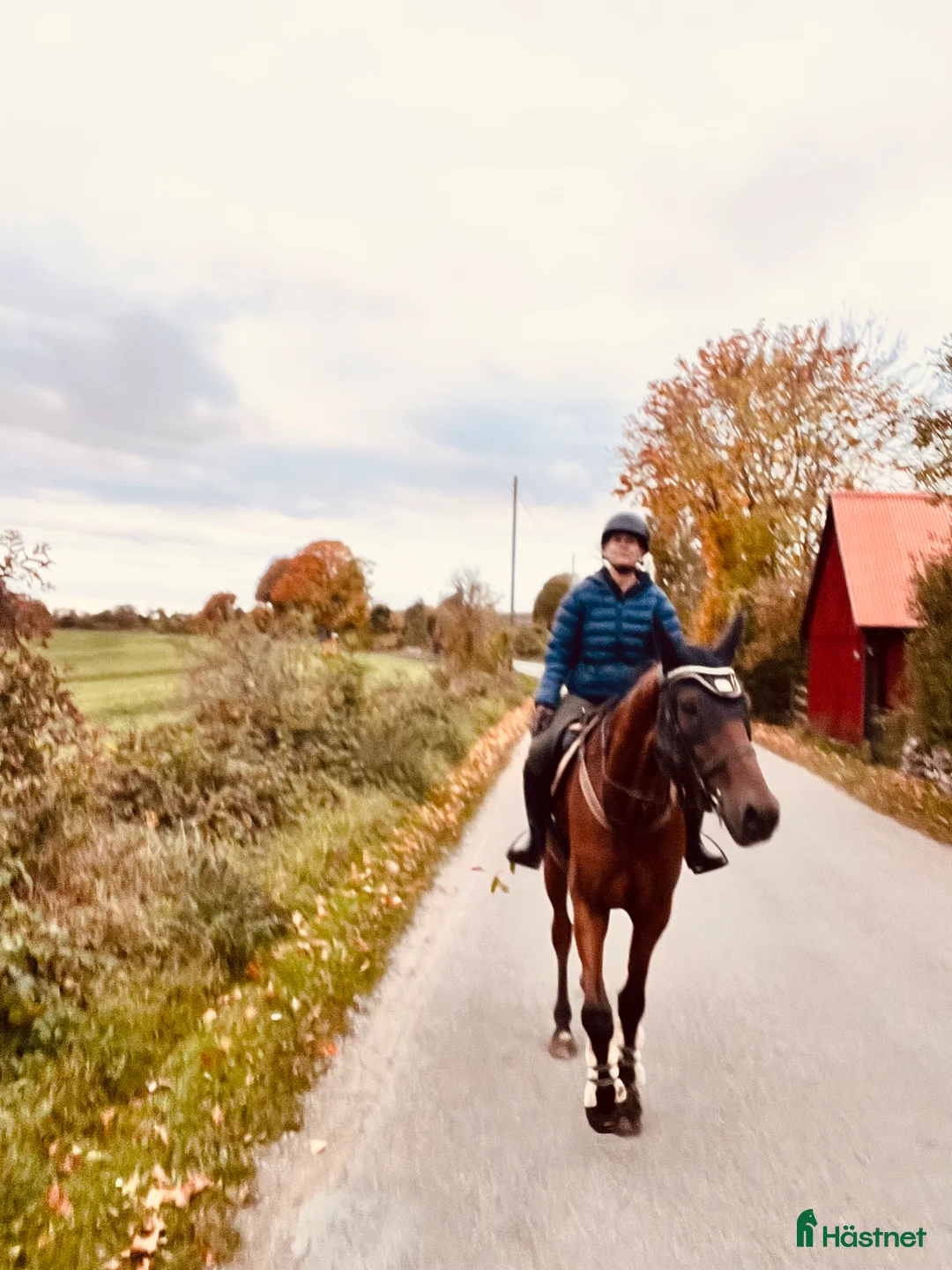 Galleribild {{count}}