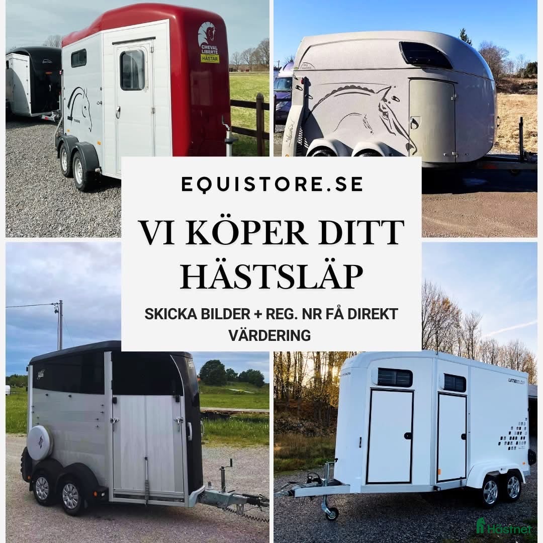 Hästtransporter  fordon & transport till salu: Hästtransporter KÖPES - Annons 6