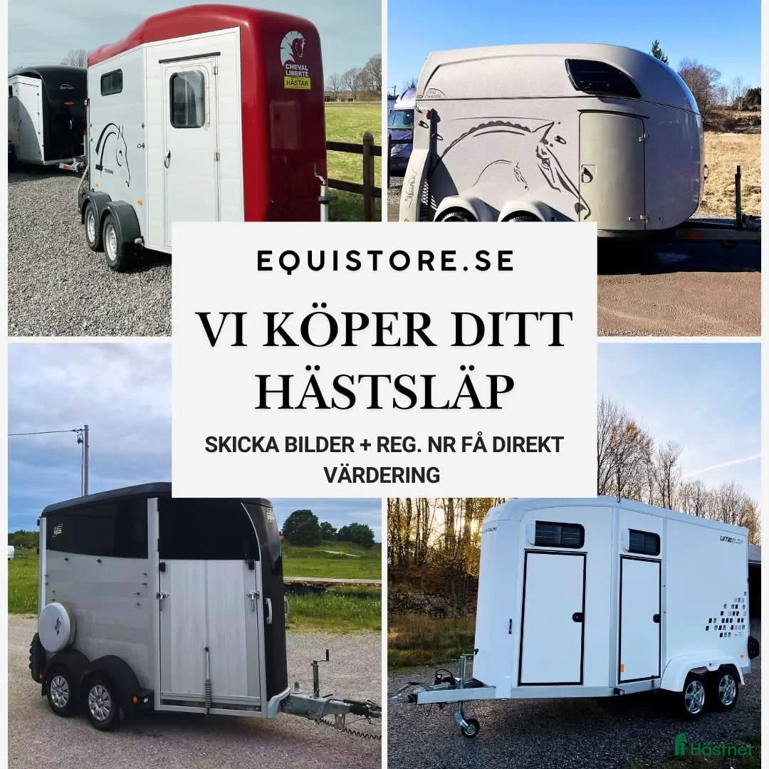 Hästtransporter  fordon & transport till salu: Hästtransporter KÖPES - Annons 1