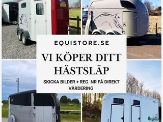 Hästtransporter fordon & transport till salu: Hästtransporter KÖPES - Annons 6