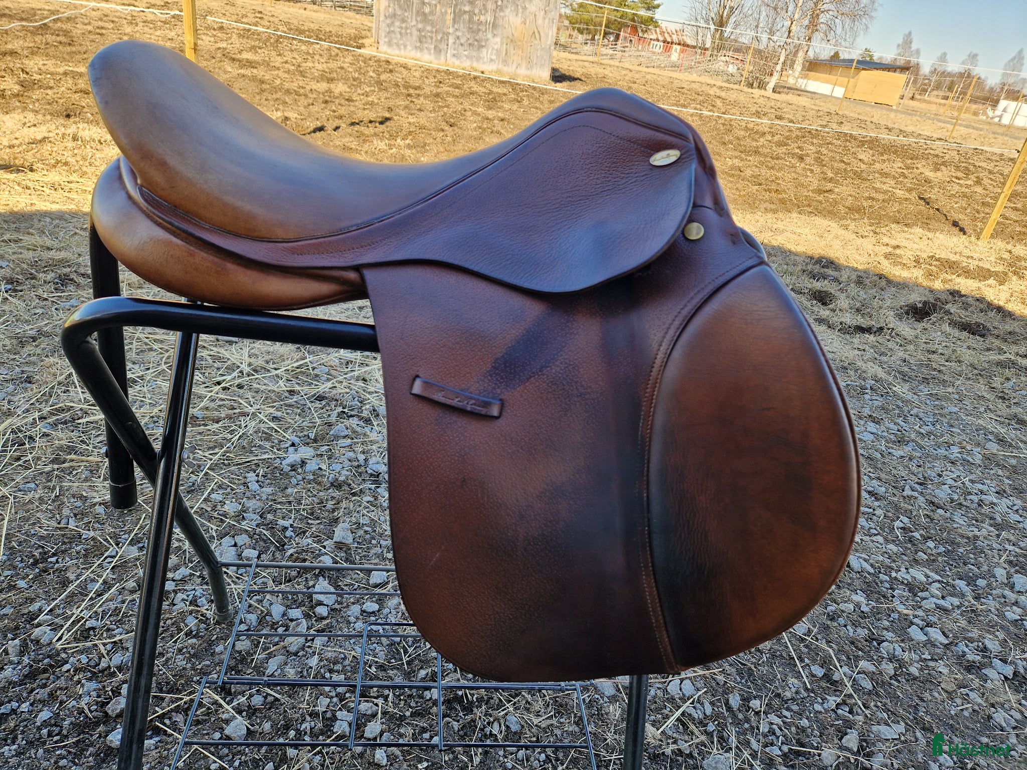 Sadlar hästutrustning Sadel Santa cruze Sabine - Annons 4
