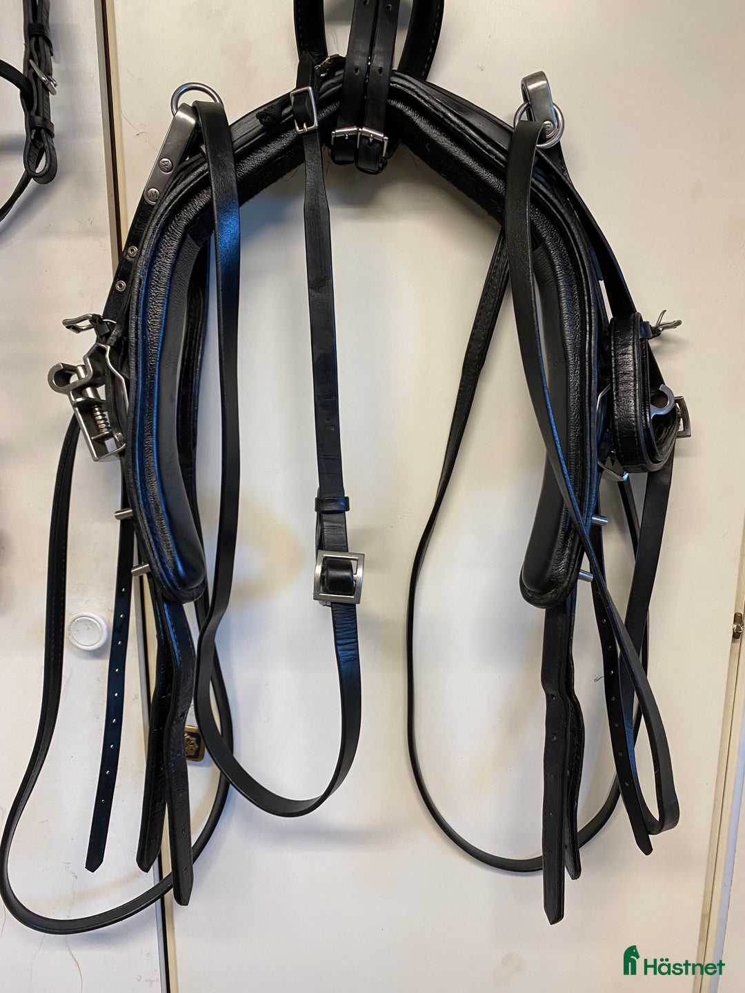 Travselar trav till salu: Travsele för ponny  i Njutånger - Annons 5