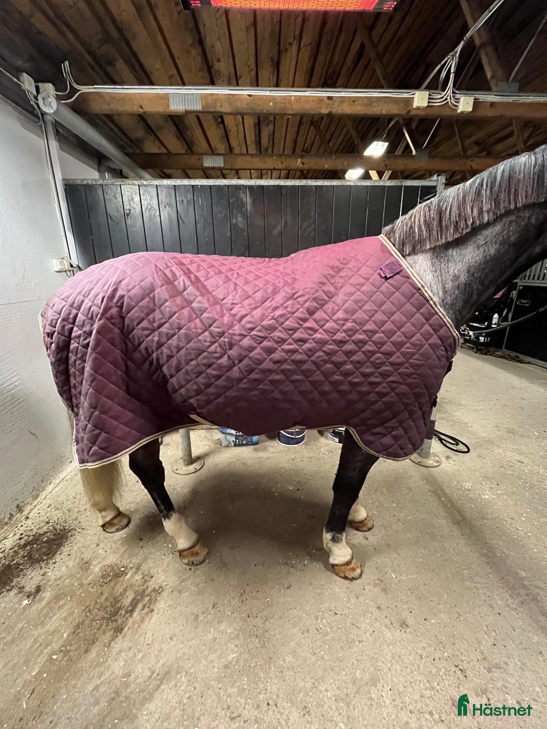 Täcken hästutrustning till salu: Nyskick horseware stalltäcke i Malmköping - Annons 4