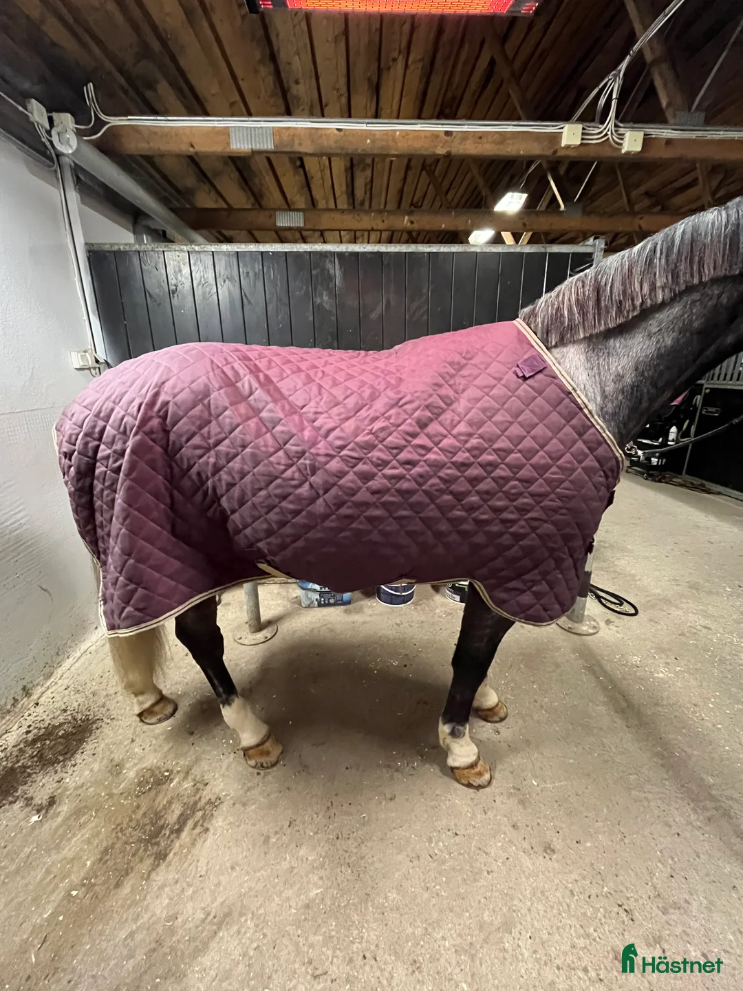 Täcken hästutrustning till salu: Nyskick horseware stalltäcke i Malmköping - Annons 4