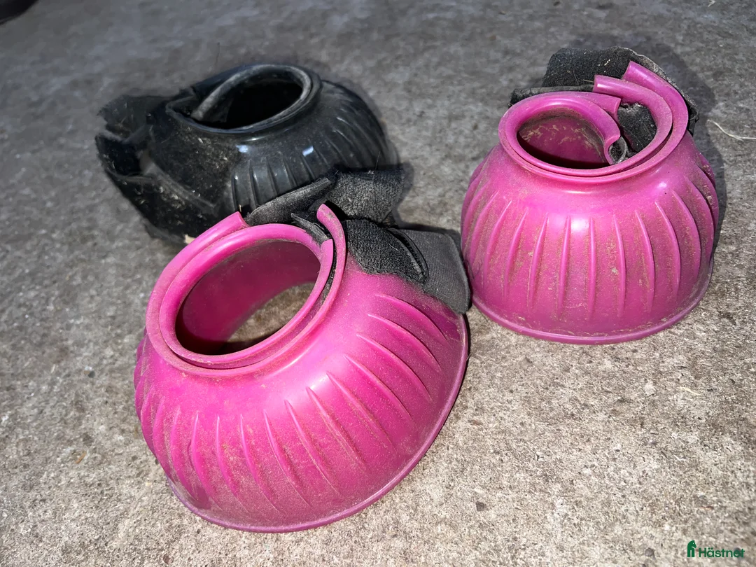 Benskydd hästutrustning till salu: Benskydd/Boots i Växjö - Annons 2