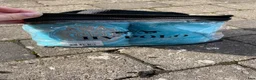 Benskydd hästutrustning till salu: Fina benlindor - Annons 2