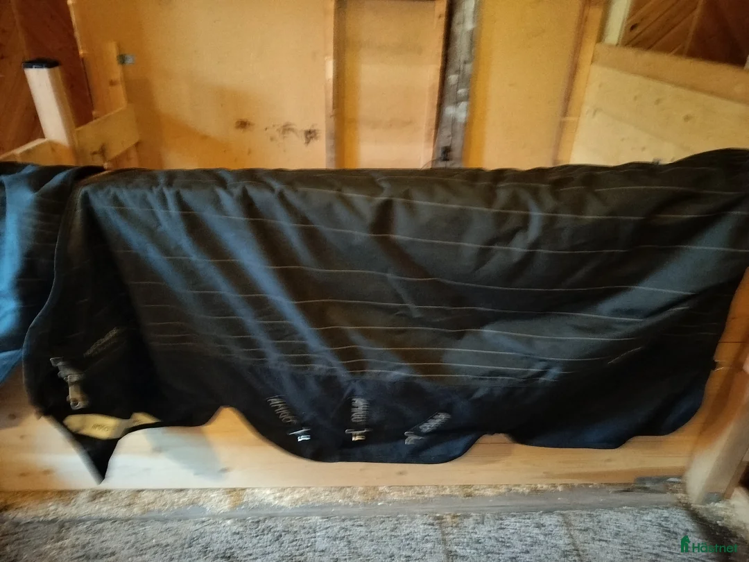 Täcken hästutrustning till salu: Reflectech 250g med hals i Luleå - Annons 1