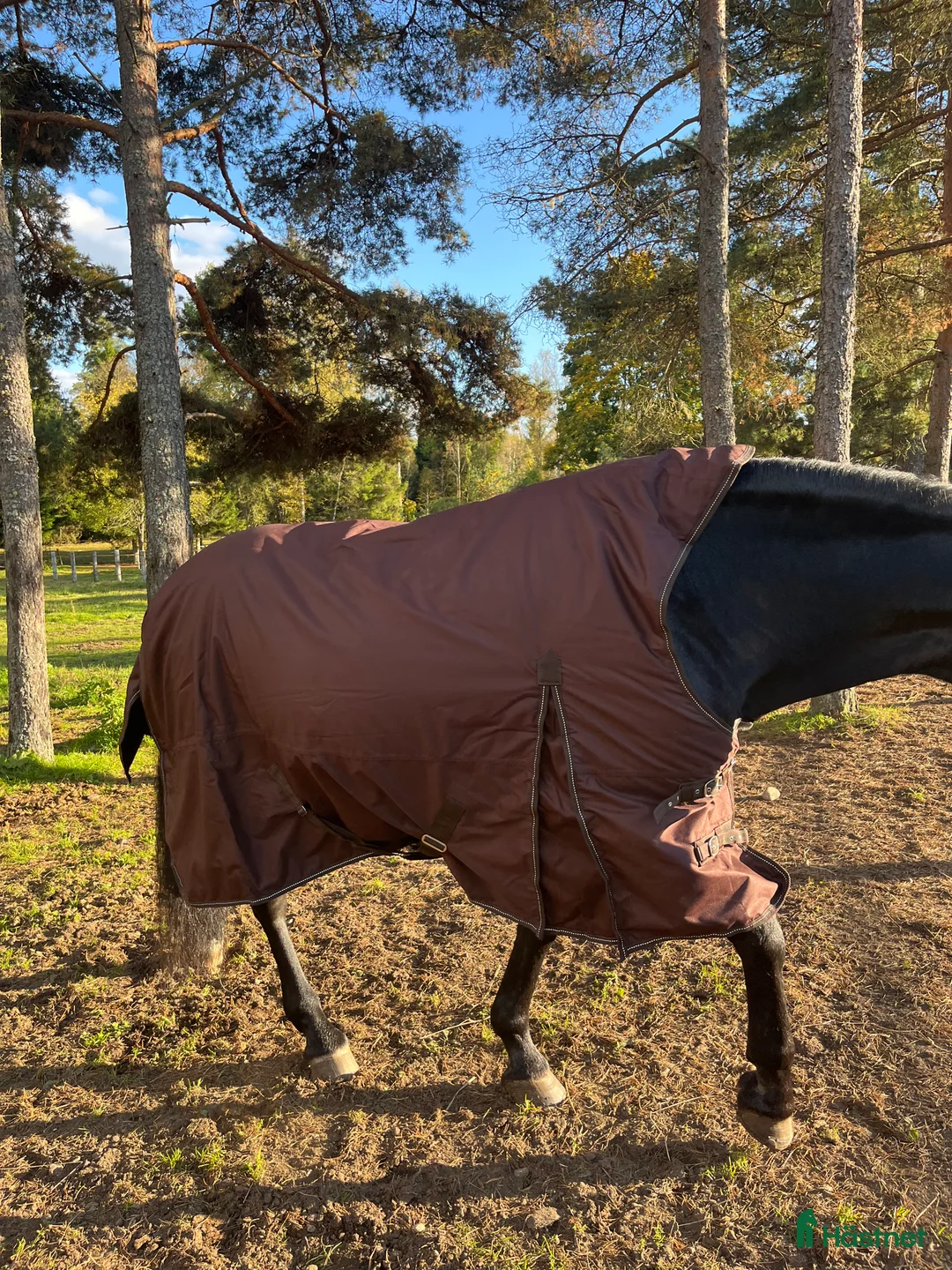 Täcken hästutrustning till salu: Nisch utetäcke i Ljungby - Annons 3