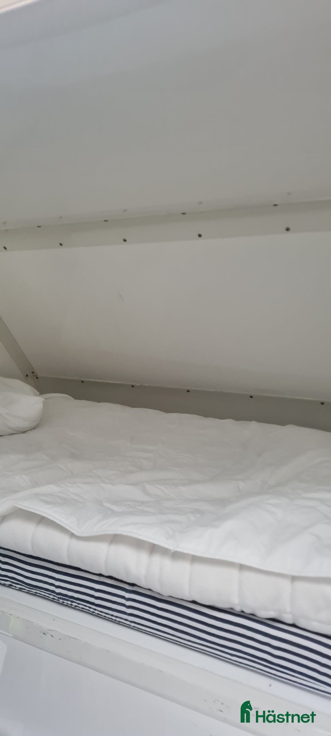 Hästtransporter  fordon & transport till salu: Säljes: Mercedes-Benz Hästbuss 2004–för 2 hästar, i Sundbyberg - Annons 6