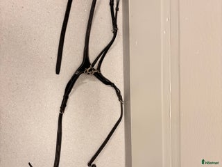 Övrig Hästutrustning hästutrustning till salu: Förbygel m martingal svart i Växjö - Annons 4